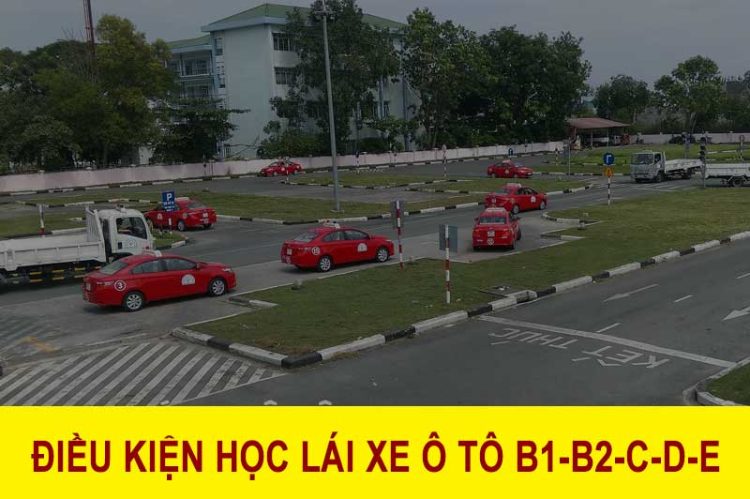 dieu-kien-hoc-lai-xe-oto điều kiện học lái xe ô tô